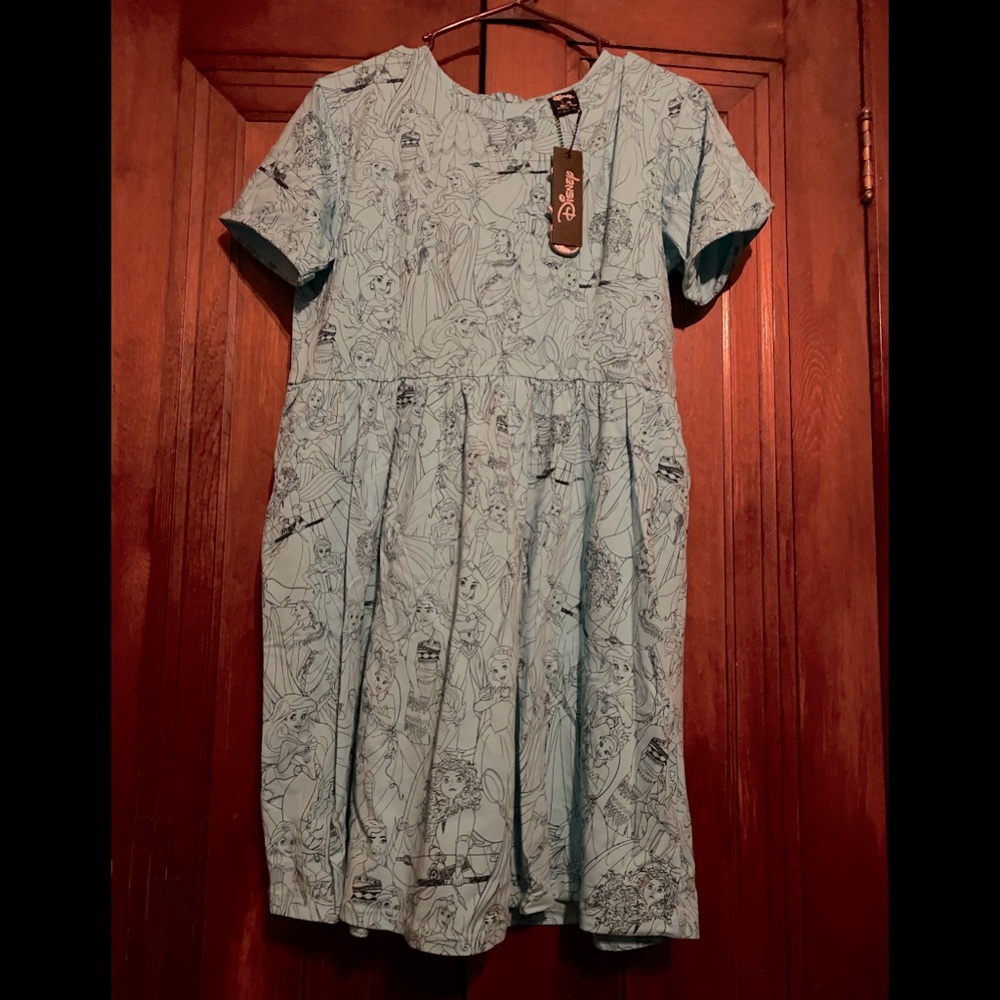 Cakeworthy Disney Princess Dress 2XL